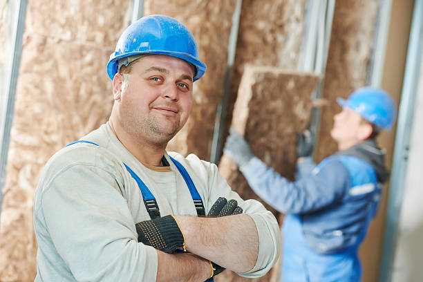 Best Spray Foam Insulation  in Virginia, MN